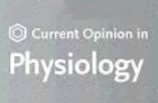 Journal logo